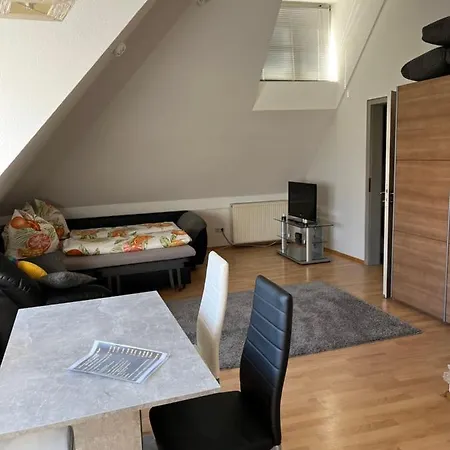 Zum Vermieten Direkt An Der Donau Und Am Schloss Apartment
