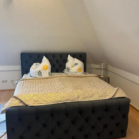 Zum Vermieten Direkt An Der Donau Und Am Schloss *